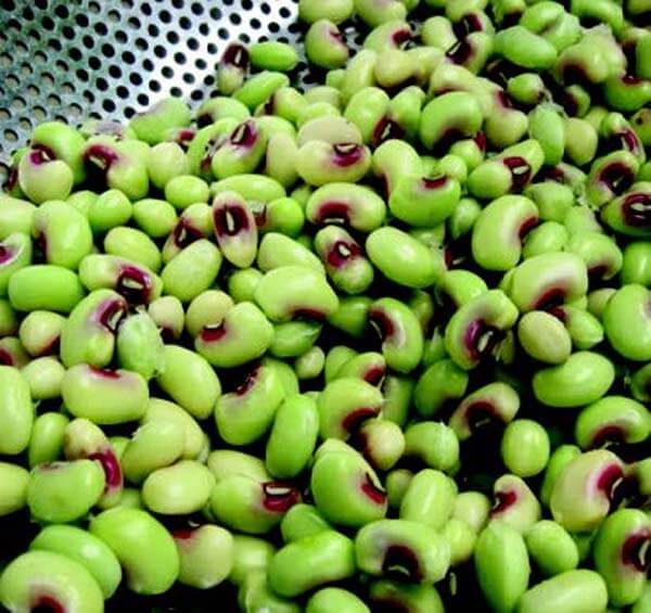 When to Plant Purple Hull Peas » Top Timing Tips When to Plant Purple Hull Peas » Top Timing Tips