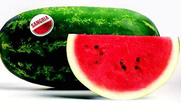 Sangria Hybrid Watermelon Seeds