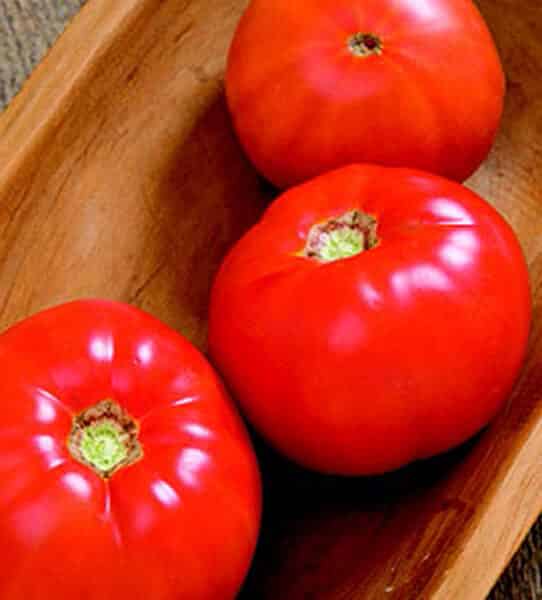 Skyway Hybrid Tomato Seeds
