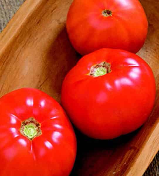Skyway Hybrid Tomato Seeds