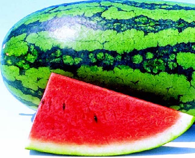 Sweet Beauty Hybrid Watermelon