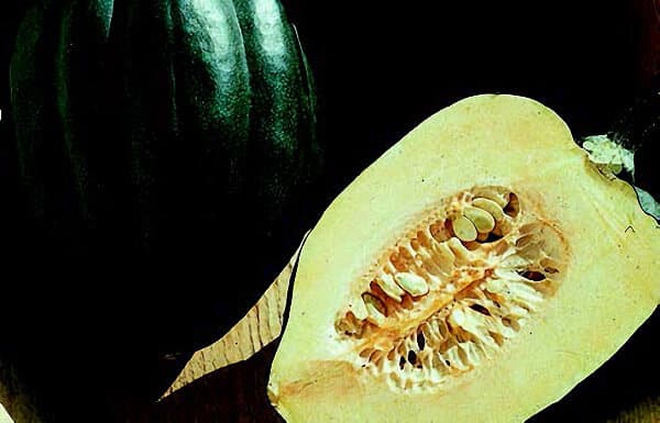 Bulk: Table Ace Hybrid Winter Squash Seeds