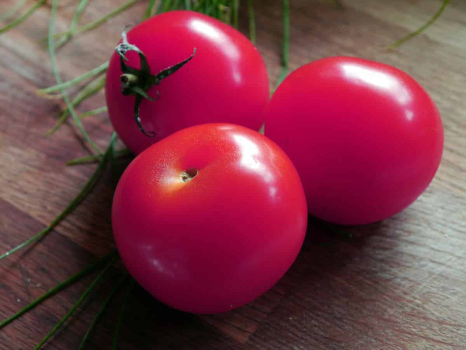Pink-A-Licious Hybrid Tomato Seeds