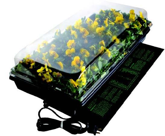 One-Tray Germination Station with Heat Mat