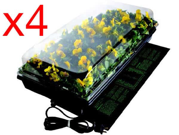 Four-Tray Germination Station with Heat Mat