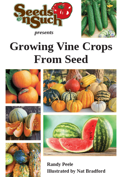 Growing Vine Crops from Seed - Vine Crops Growing Guide